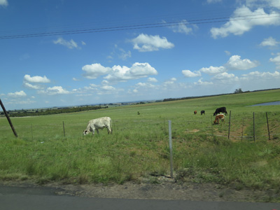 Rich SA farmland, East of Pretoria, South Africa 2013